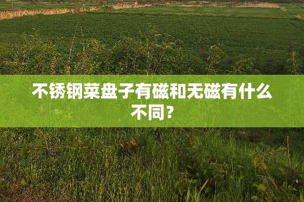 不锈钢菜盘子有磁和无磁有什么不同？
