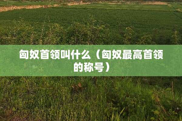 匈*首领叫什么（匈*最高首领的称号）