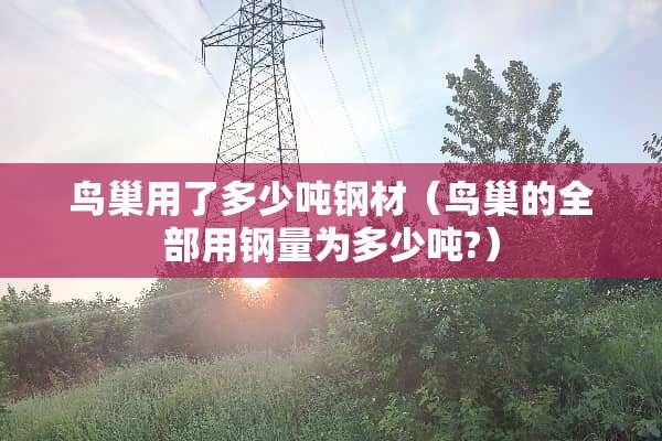 **用了多少吨钢材（**的全部用钢量为多少吨?）