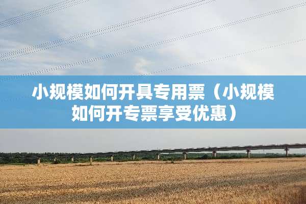 小规模如何开具专用票（小规模如何开专票享受优惠）