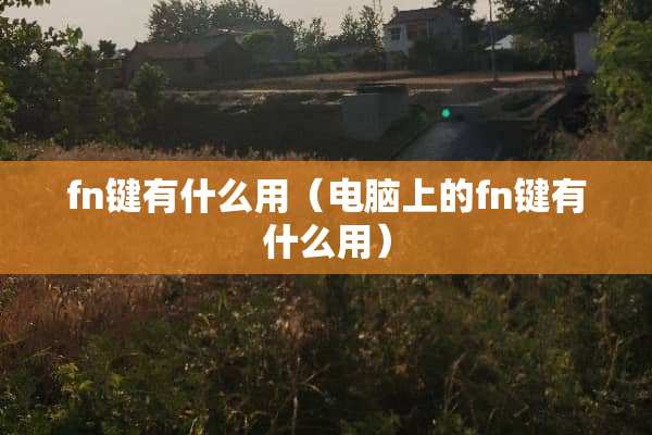 fn键有什么用（电脑上的fn键有什么用）