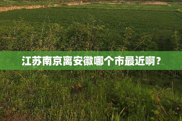 江苏南京离安徽哪个市最近啊？