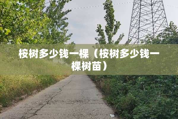 桉树多少钱一棵（桉树多少钱一棵树苗）