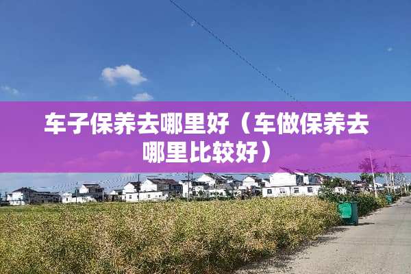 车子保养去哪里好（车做保养去哪里比较好）
