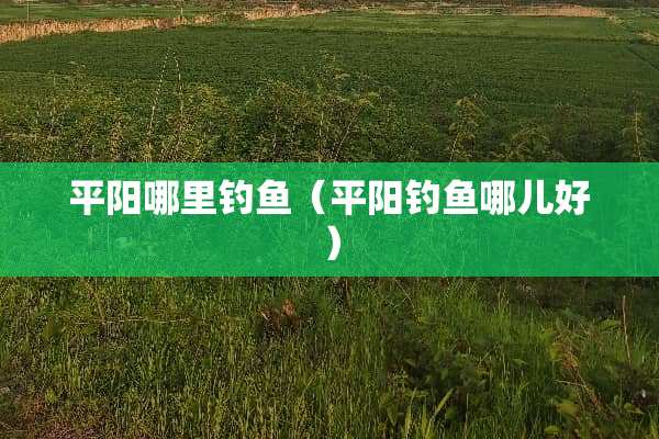 平阳哪里钓鱼（平阳钓鱼哪儿好）
