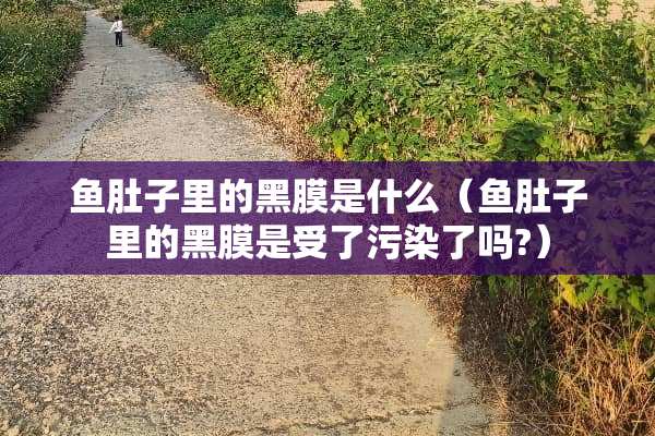 鱼肚子里的黑膜是什么（鱼肚子里的黑膜是受了污染了吗?）