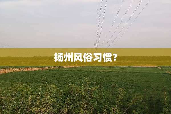 扬州风俗习惯？
