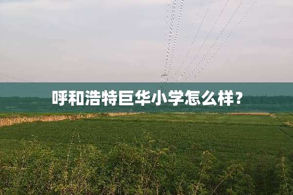呼和浩特巨华小学怎么样？