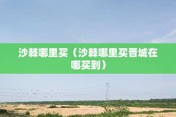 沙棘哪里买（沙棘哪里买晋城在哪买到）