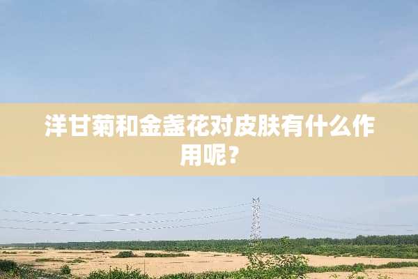 洋甘菊和金盏花对皮肤有什么作用呢？
