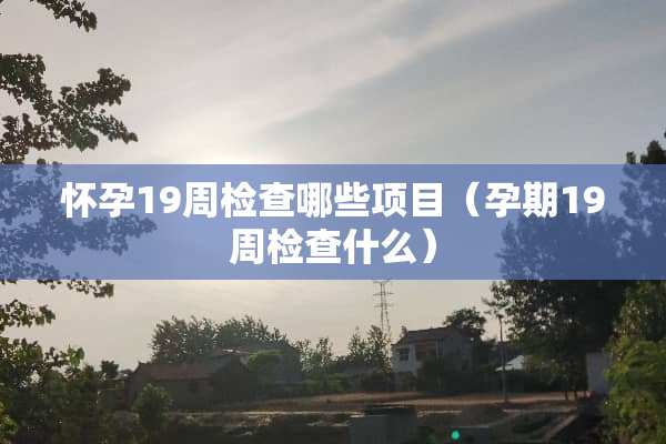 怀孕19周检查哪些项目（孕期19周检查什么）