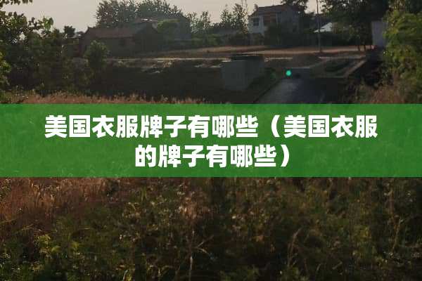美国衣服牌子有哪些（美国衣服的牌子有哪些）