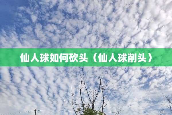 仙人球如何砍头（仙人球削头）