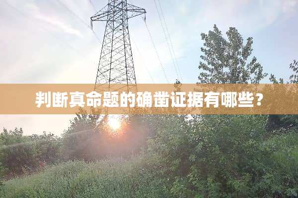 判断真命题的确凿证据有哪些？