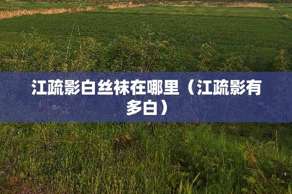 江疏影白**在哪里（江疏影有多白）