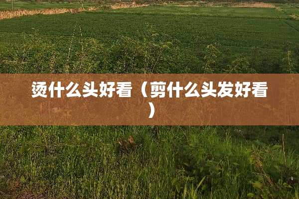 烫什么头好看（剪什么头发好看）
