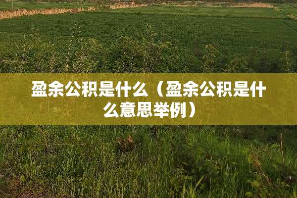 盈余公积是什么（盈余公积是什么意思举例）