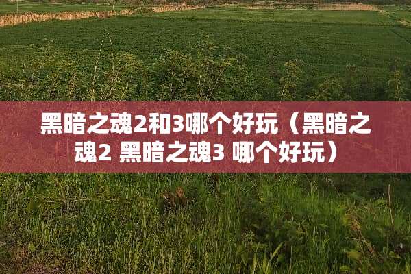 黑暗之魂2和3哪个好玩（黑暗之魂2 黑暗之魂3 哪个好玩）