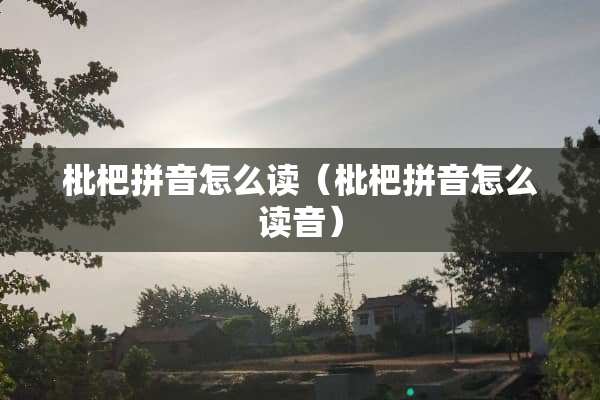枇杷拼音怎么读（枇杷拼音怎么读音）