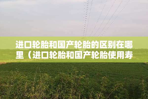 进口轮胎和国产轮胎的区别在哪里（进口轮胎和国产轮胎使用寿命）