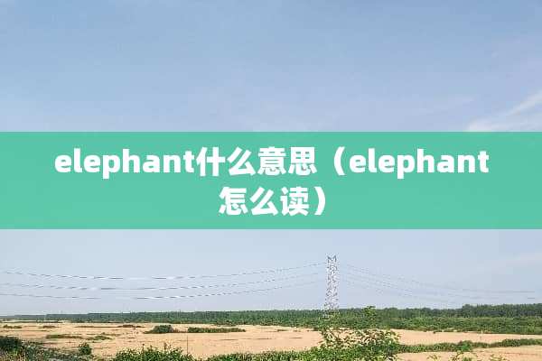 elephant什么意思（elephant怎么读）