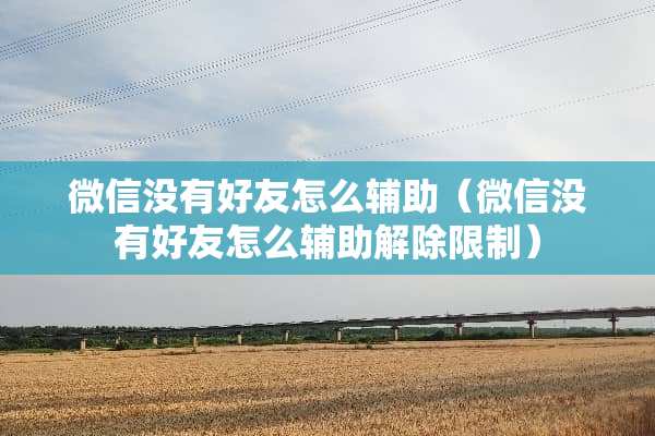 微信没有好友怎么辅助（微信没有好友怎么辅助解除限制）