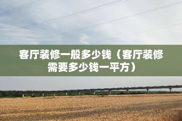 客厅装修一般多少钱（客厅装修需要多少钱一平方）