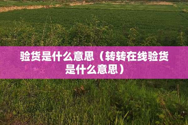 验货是什么意思（转转在线验货是什么意思）