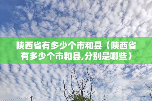 陕西省有多少个市和县（陕西省有多少个市和县,分别是哪些）