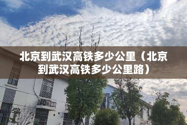 北京到武汉高铁多少公里（北京到武汉高铁多少公里路）