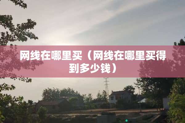 网线在哪里买（网线在哪里买得到多少钱）