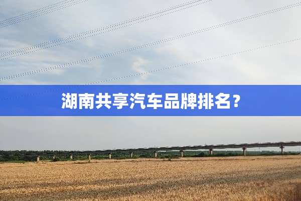 湖南共享汽车品牌排名？