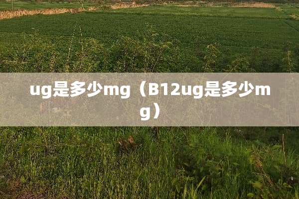 ug是多少mg（B12ug是多少mg）