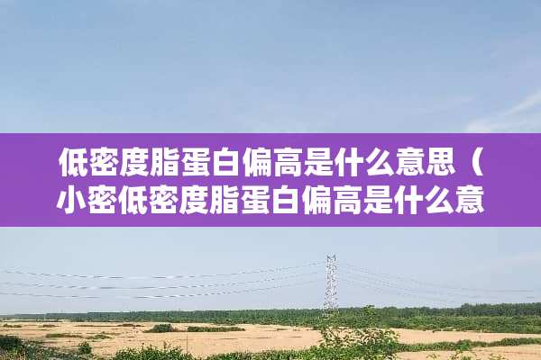低密度脂蛋白偏高是什么意思（小密低密度脂蛋白偏高是什么意思）