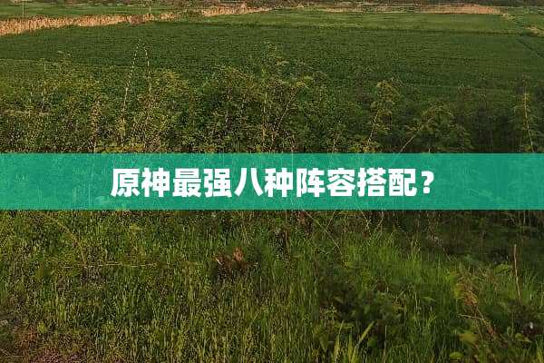 原神最强八种阵容搭配？