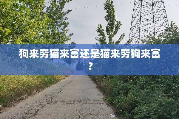 狗来穷猫来富还是猫来穷狗来富？