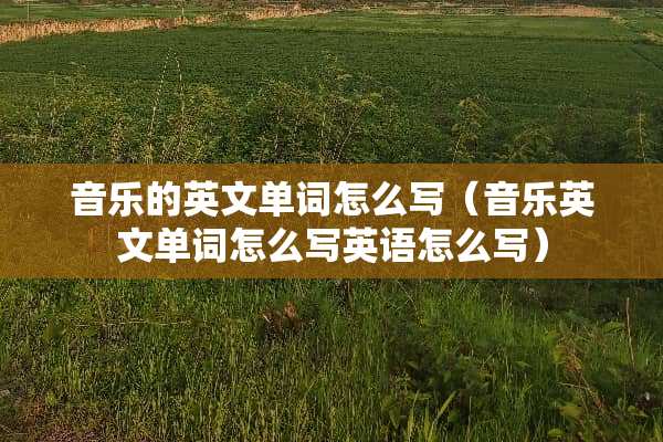 音乐的英文单词怎么写（音乐英文单词怎么写英语怎么写）