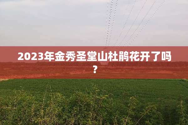 2023年金秀圣堂山杜鹃花开了吗？
