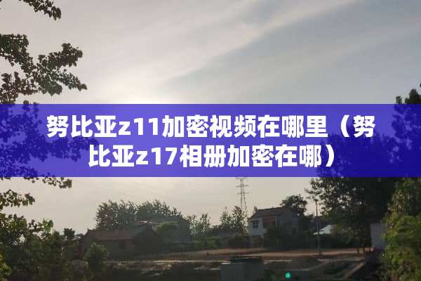 努比亚z11加密视频在哪里（努比亚z17相册加密在哪）