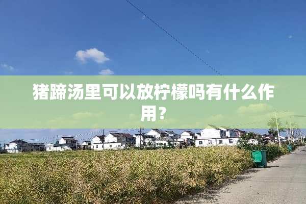 猪蹄汤里可以放柠檬吗有什么作用？