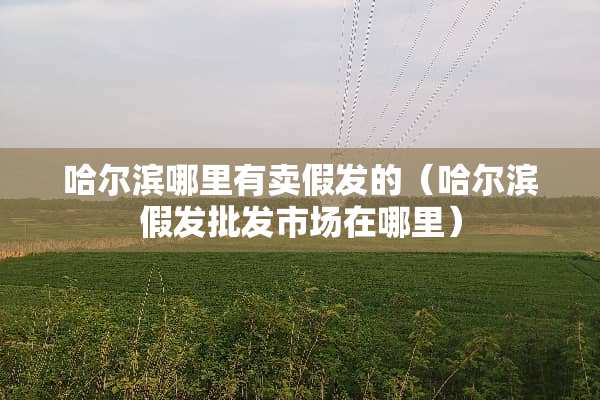 哈尔滨哪里有卖假发的（哈尔滨假发批发市场在哪里）