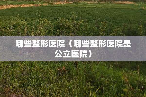 哪些整形医院（哪些整形医院是公立医院）