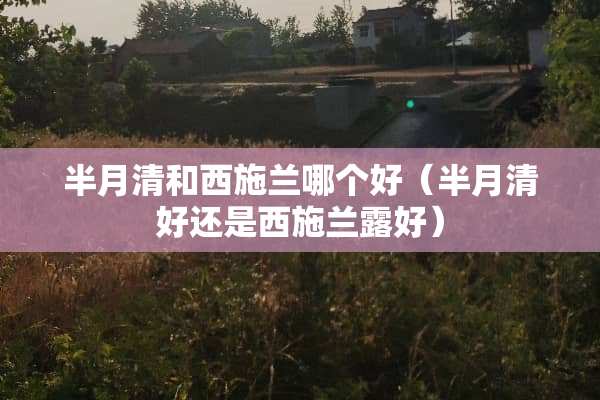 半月清和西施兰哪个好（半月清好还是西施兰露好）