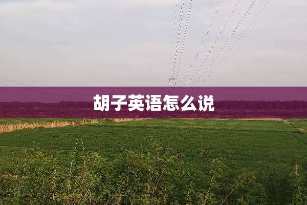 胡子英语怎么说