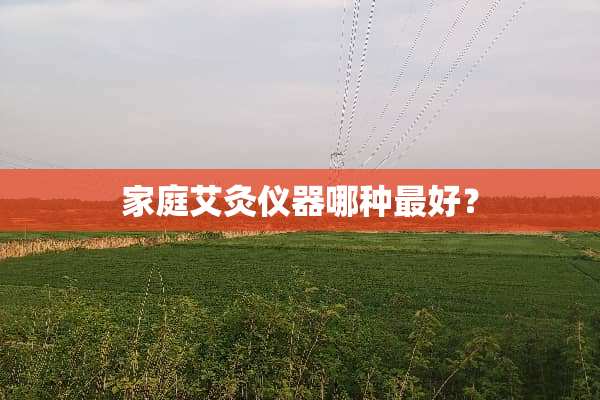 家庭艾灸仪器哪种最好？