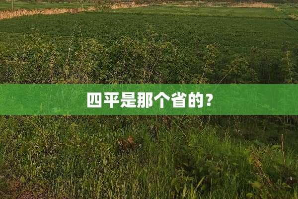 四平是那个省的？