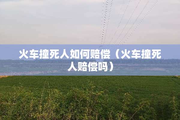 火车撞死人如何赔偿（火车撞死人赔偿吗）