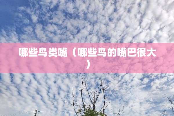 哪些鸟类嘴（哪些鸟的嘴巴很大）