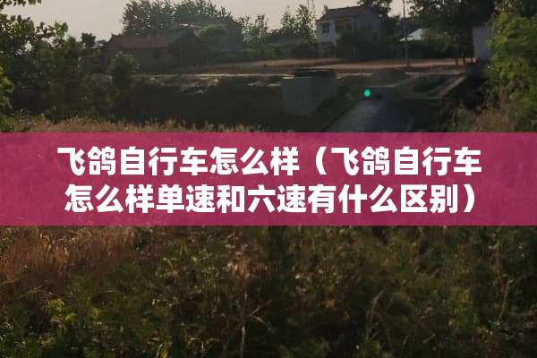 飞鸽自行车怎么样（飞鸽自行车怎么样单速和六速有什么区别）