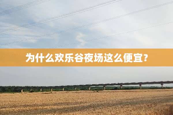 为什么欢乐谷夜场这么便宜？